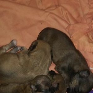 Meet your Posher, Donna